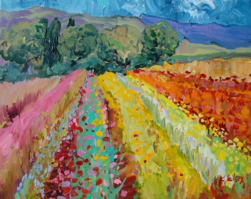 Sonoma Flower Field, Stormy Day