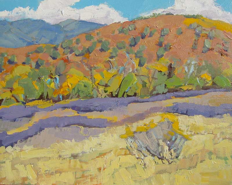 Desert Meadow, San Geronimo Lodge