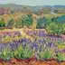 Kathy's Lavender Field