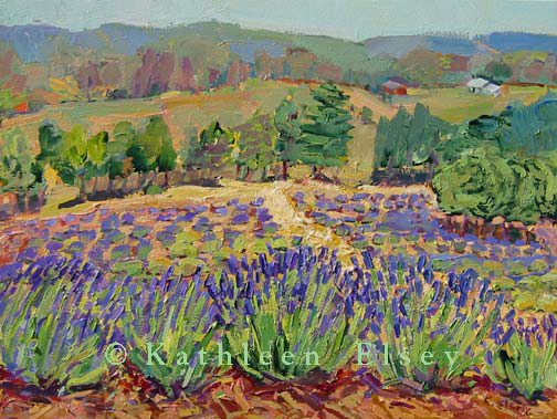 Kathy&rsquo;s Lavender Field, Summer Heat