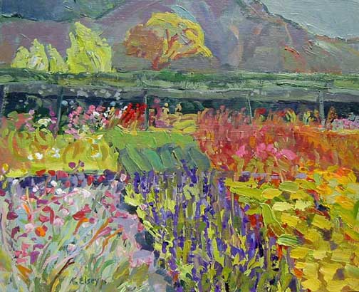 Tom&rsquo;s Garden