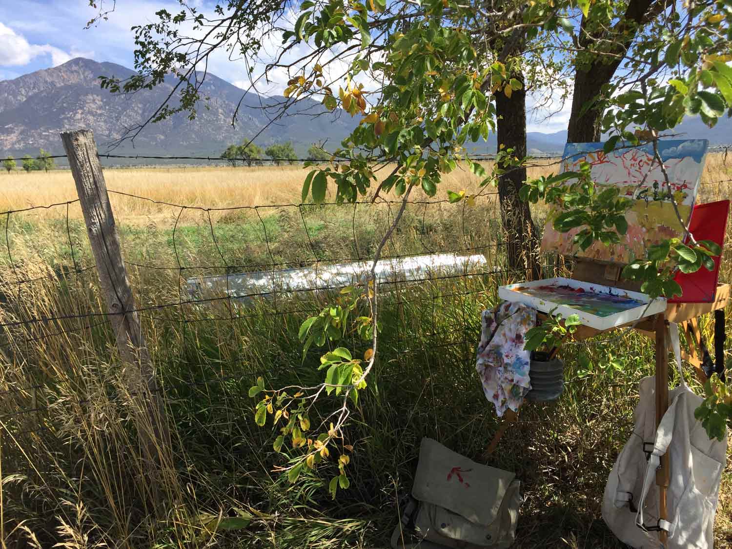 Taos mountain meadow